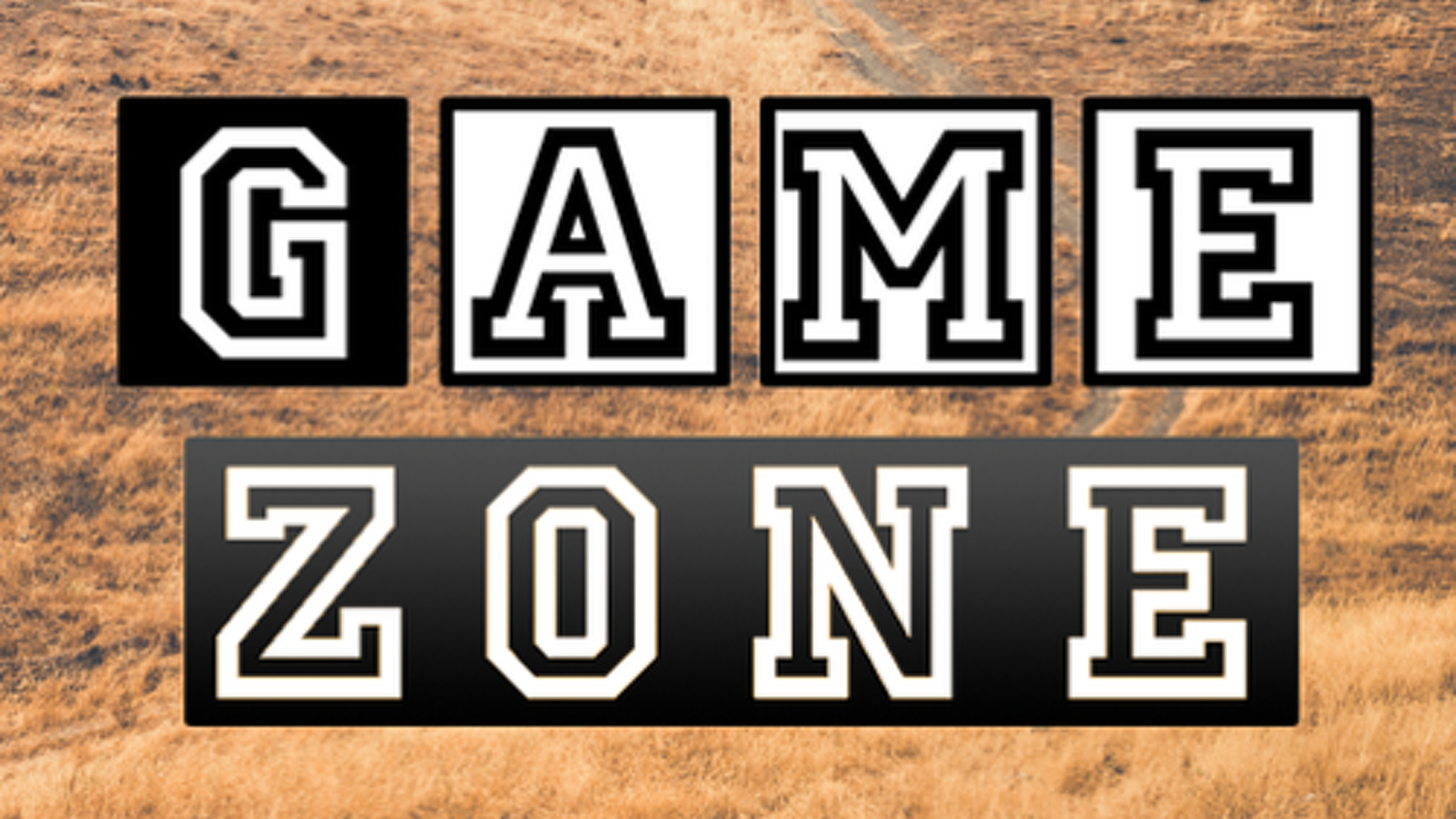 GameZone