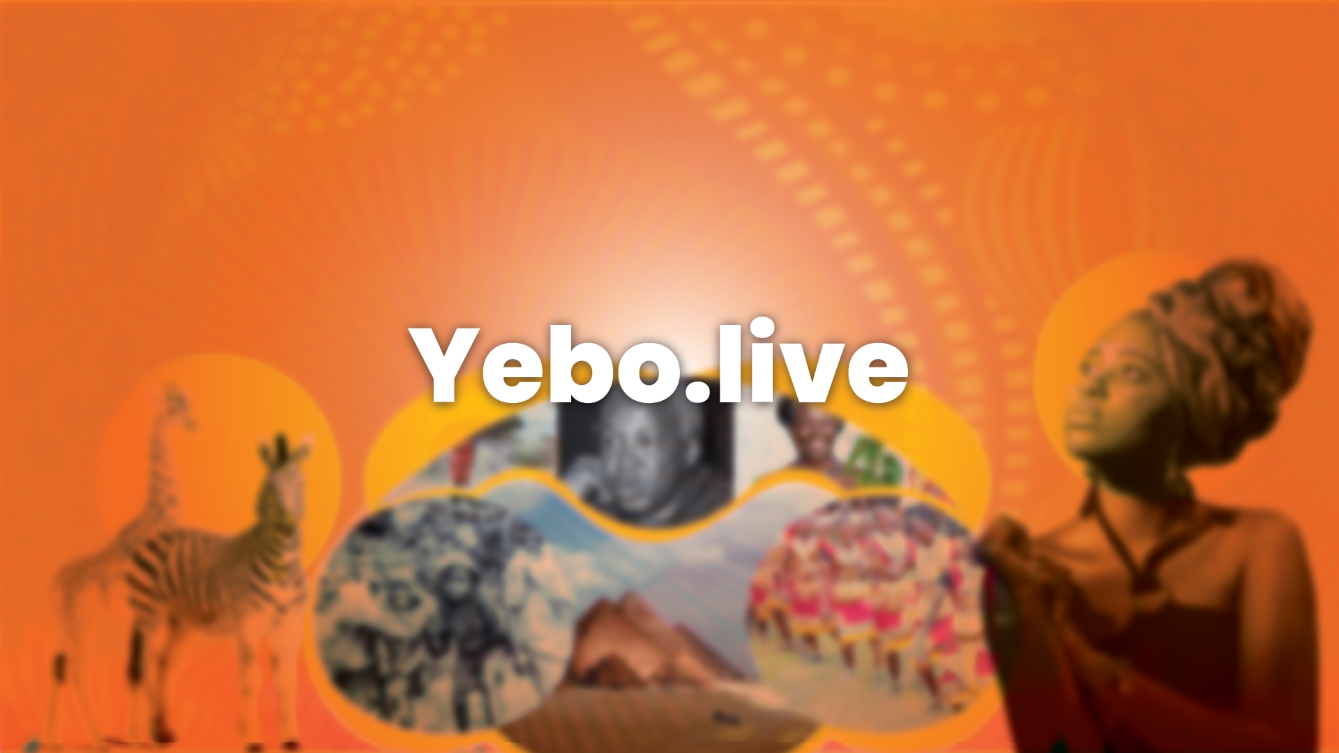 yebo.live