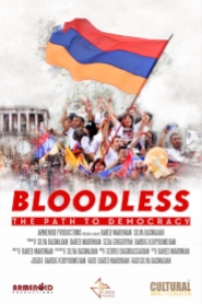 Bloodless: The Path to Democracy